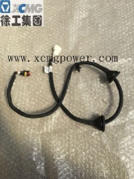 XCMG Door Light Wire Harness assembly