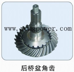 豪沃 后桥盆角齿